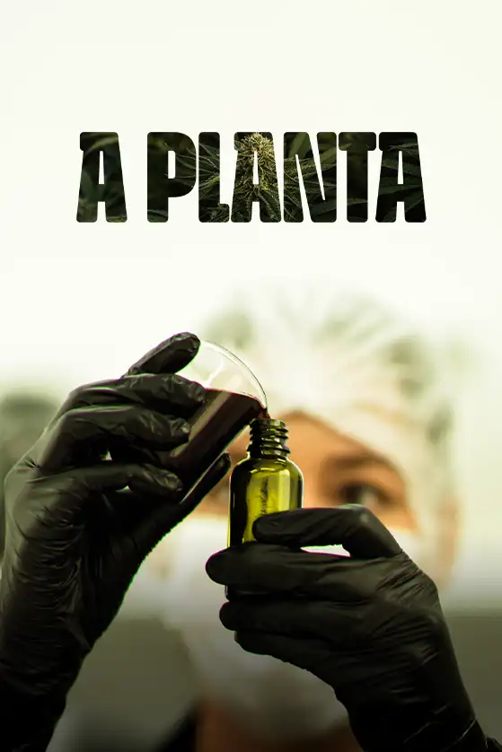 A planta